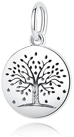 Nbsameng Charm Plata de Ley 925,Patrón de Doble Cara,Compatible con Pulseras y Pulseras Europeas,árbol de la vida