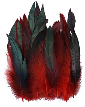 Surakey 100 Stück Basteln Federn,Rot Hahnenfedern,14-20CM DIY Bastelfedern für Bastelprojekte Traumfänger DIY Ohrringe Faschingskostüme Party Hüte Masken Schmuckstücke Ostereier Deko Fasanfedern