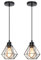 iDEGU 2 Stücke Pendelleuchten Schwarz 16cm Industrial Hängelampe aus Metall Käfig Lampenschirm Retro Lampe E27 Fassung Vintage Hängeleuchte für Esstisch Flur Küche Schlafzimmer (1-flammig)