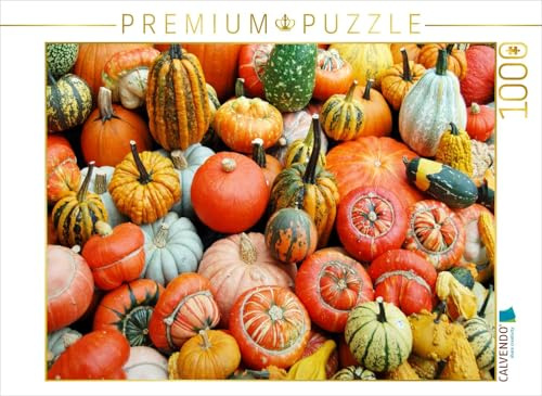 CALVENDO Puzzle Mix aus vielen Kürbis Sorten in gelb, rot, grün und orange. | 1000 Teile Lege-Größe 64 x 48 cm Foto-Puzzle für glückliche Stunden