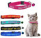 Collier personnalisé pour chat échappé personnalisé avec cloche, boucle de déverrouillage de sécurité, nom d'identification brodé sur le collier du chaton