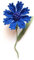 broche fleur au crochet, broche bleuet en coton, broche botanique, bleu/vert, artisanat italien Made In Italy