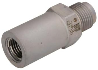 BOSCH 1 110 010 033 Druckbegrenzungsventil Common-Rail-System Kompatibel mit RENAULT TRUCKS Premium 5001585409 PLV1-14/3 F00R000756
