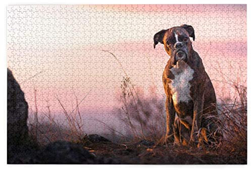 Puzzles 1000 Stück Boxer Hunde Nicht gesetzt Haustiere Rasen Hunde Hunde Puzzle Spielzeug Familie Spiel Wanddekoration für Erwachsene Jugendliche