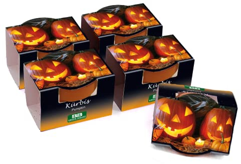 Bull & Bear 5er Set Mini Pflanzset Kürbis, Kürbissamen im Topf 4,5cm, Kürbis Anzuchtset mit Pflegeanleitung