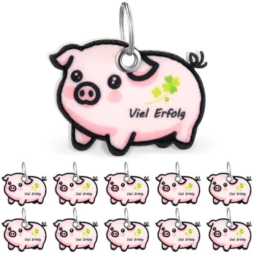Otuuz 10 Stück Glücksbringer 2026 Schwein Schlüsselanhänger Prüfung Glücksschwein Deko mit Spruch Viel Erfolg Schule Filz Glück Anhänger Geschenk Schüler Kollege Abschied Neuer Job Einzug Operation