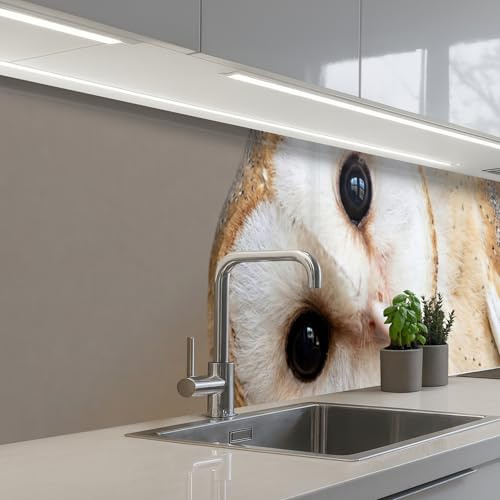 KitchenYeah© Küchenrückwand Selbstklebend Küchenspritzschutz Rückwand | 60x300 cm - Wandschutz Ohne Bohren Spritzschutz Wand Wandverkleidung Eule - Braun - Weiß