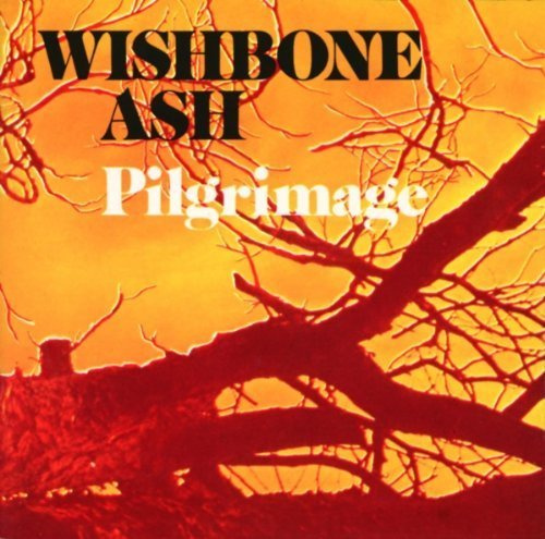 Pilgrimage Import Edition by Wishbone Ash (1991) Audio CD