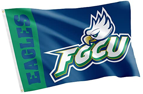 Desert Cactus Florida Gulf Coast University Flagge, 100 % Polyester, für drinnen und draußen, 91 x 152 cm (Teamname)