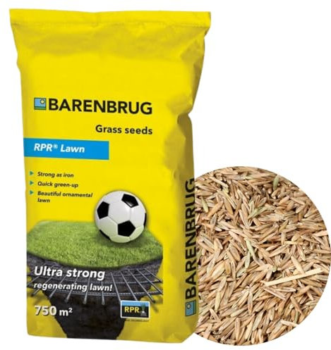 Herbe d'été Barenbrug auto-épaississant RPR Pelouse Sport Play & Sport 15kg