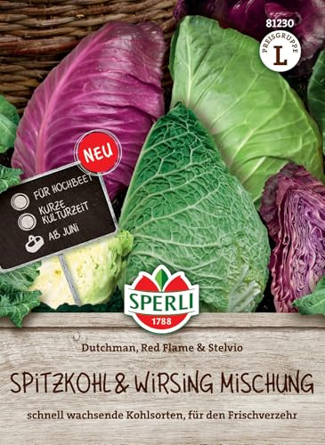Sperli Spitzkohlsamen Dutchman F1 / Red Flame/Wirsing Stelvio 81230 | Kohlsamen für Hochbeete, kurzen Kulturdauer, Spitzkohl & Wirsing Mischung, kompakt