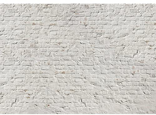 Runa Art Papier peint intissé Mural Mur de briques effet 3D Moderne Toison Salon Chambre à Coucherr Salle - Tableaux Muraux Tapisserie Photo - blanc 9020010a