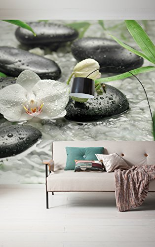Komar Vlies Fototapete PURE | 300 x 250 cm | Tapete, Wand Dekoration, Blumen, Orchideen, Wellness, Stein, Fluss, Schlafzimmer, Wohnzimmer | 319-DV3