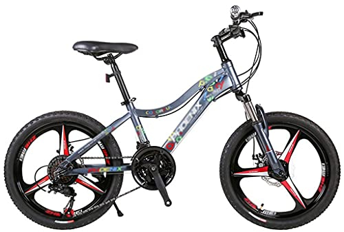 Kinderfahrrad Mountainbike Erwachsene und Jugendliche Fahrrad 26 Zoll Rahmen aus Kohlenstoffstahl Outdoor-Rennrad mit Doppelscheibenbremse 21-Gang-MTB mit Vollfederung (Farbe: Style1)