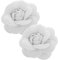 Homoyoyo 2pezzi Fibbia Decorativa Per Scarpe Con Rosa Rimovibile Clip Per Scarpe Pelle Per Stivali Sandali E Tacchi Accessori Eleganti Per Occasioni Speciali