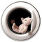 ihreesy 3D Stereo Bär Auto Aufkleber, Wasserdichte PET 3D Bär-Aufkleber Niedliche Dekorative Aufkleber Autoaufkleber Körperaufkleber Anime Lustige Dekoration Karosserie Decal Wanddeko