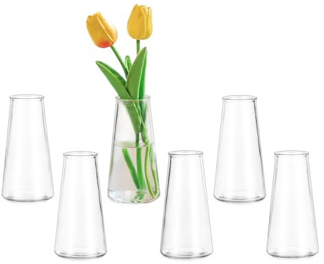 Glasseam Petit Vase en Verre pour Mariage: Mini Vase à Fleurs Lot De 6 pour Centre De Table Décoration De Salon - Vases Décoratifs Transparents pour Plante Fleurie Amaryllis Rose