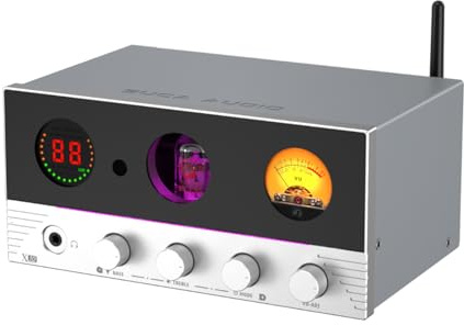 SUCA AUDIO X10 Amplificateur de Puissance à Tubes, Amp DAC USB/Bluetooth/Optique/Coaxial/Clé USB/RCA vers AUX/Haut-parleurs, Amplificateur Audio Stéréo 2.1 Canaux avec Puissance de Sortie 165W, Argent