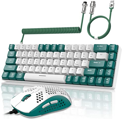 YINDIAO T8 60% RGB Gaming Tastatur und Maus Set + Gewendeltes USB-C Kabel,Kabelgebundene Mechanische Tastatur,68 Tasten TKL Compact Layout,Maus mit Wabenstruktur,Bis zu 6400DPI,für PC MAC PS5 -Grün