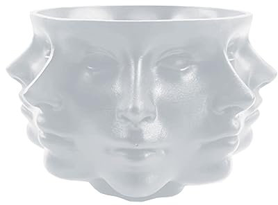 # Multi Face Sukkulenten Pflanzgefäß Vase Kleines Gesicht Pflanzkopf Gesicht Vase Home Dekoration Sukkulenten Kaktus Indoor Topf (Weiß, Einheitsgröße)