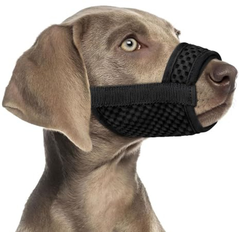 XFSRG Museruola per cani,in nylon,Museruola Traspirante Cani Regolabile con Cinghie, Copertura per Cani di Piccola Media Grande Taglia