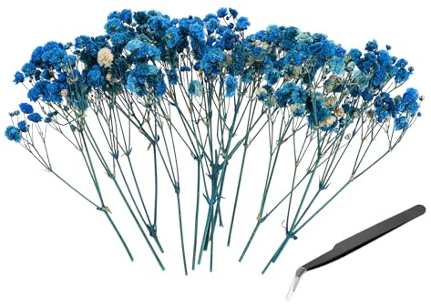 PATIKIL 30 Pezzi Mini Kit Fiori Di Gypsophila Essiccati Naturali.