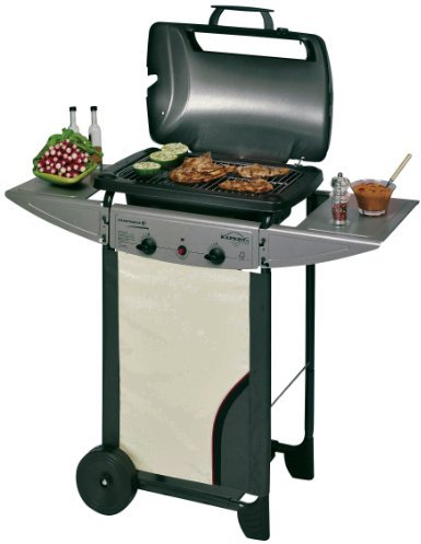 Campingaz Expert 2 Plus Barbecue