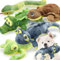 LECHONG 5er-Pack Quietsch-Plüsch Hundespielzeug, Weiches Kauspielzeug Set für Große, Mittelgroße und Kleine Hunde & Welpen gegen Langeweile, Robustes Hundespielzeug Waldbewohner Serie Kuscheltiere