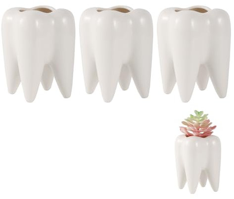 fifibang 3 pezzi vaso succulento in ceramica, vaso succulento bianco vaso cactus, mini vaso di fiori vaso di piante per cactus per dentista regali tavolo soggiorno deco