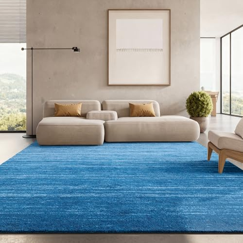 SAFAVIEH Adirondack Area Rug 8x10, Large Light Blue & Dark Blue ADR113F