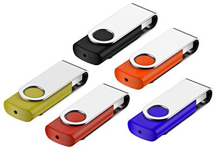 5 Stück 2GB USB Stick,Fesaymi 2.0 USB-Flash-Laufwerk Mehrfarbig Speicherstick 360 ° Drehun Hi-Speed Memory Stick Mit Schlüsselband (2GB, 5PCS)