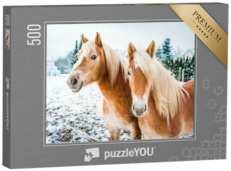 puzzleYOU: Puzzle 500 Teile „Haflingerpferde auf Einer schneebedeckten Wiese“ – aus der Puzzle-Kollektion Pferde, Haflinger Pferde