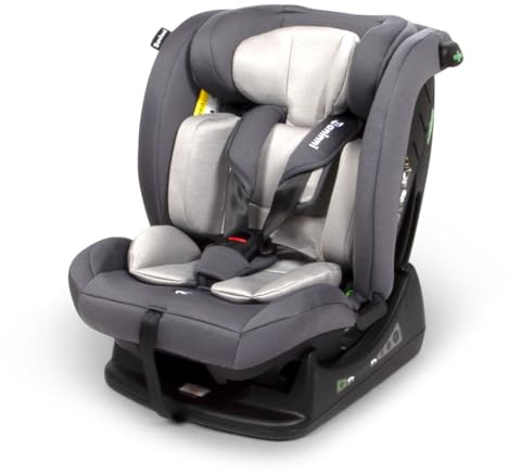 Baninni Autositz, i-Size, 40-150 cm – 0-36 kg, Nora, Grau