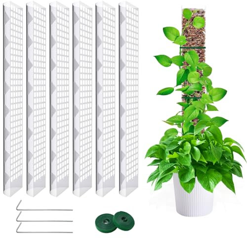 LINSOCLE 6 PiezasTutor Musgo, Tutores para Plantas Trepadoras, Moss Pole 60cm, Palo Musgo Plantas para Extensión de Soporte para Enredaderas e Monstera