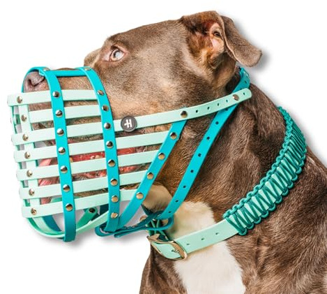 Dog Muzzle for Medium to XL Dogs – Adjustable, Comfortable & Durable Biothane Design with Stainless Steel Fixings – Waterproof, Lightweight & Soft Fit by Happy Muzzle Co. (Teal, Size Woof)