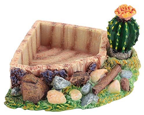 Pssopp Reptilien Eck Wasserschale Harz Schildkrötenschale Reptilienfutterschale Futterschale Wurmfutterstation Terrarium Teller künstlicher Kakteen Pool Landschaft Ornament