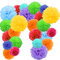 24 Pompones Multicolor Decoracion, Flores Pompom de Papel de Seda. Decoración Fiesta Carnaval y Cumpleaños -24 Piezas-