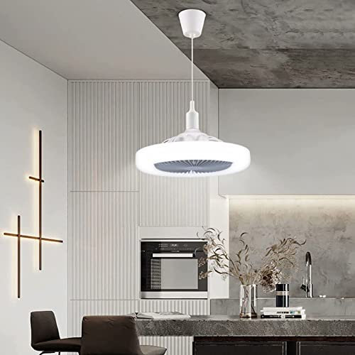 Pilipane Ventilateur de plafond avec lampe,Télécommande Moderne Silencieux Moteur DC Réversible Avec Lumières LED à Intensité Variable,Lampe De Ventilateur De Plafond E27 30 W Silencieuse Réglable