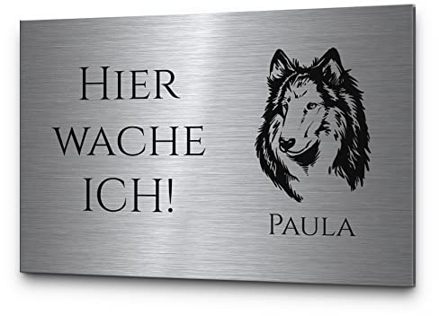 Warnung vor dem Hund Schild personalisierbar Langhaarcollie Collie Vorsicht Hund Hier wache ich | Gravur auf Edelstahl rechteckig | Hinweisschild wetterfest Hundezubehör