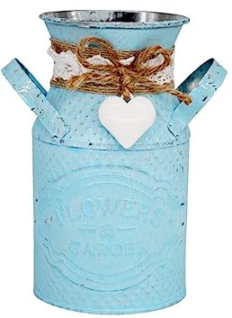 Luxshiny 1pièce Pot De Fleurs Fer Rond Style Champêtre Support Décoratif pour Jardin Et Bureau Bleu Ciel