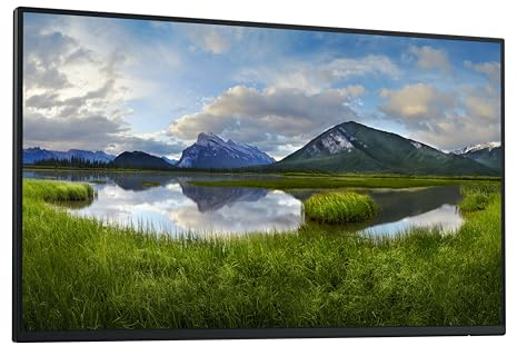 DELL 24 USB-C Hub Monitor P2425HE no s