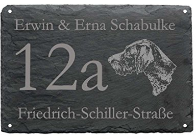 HAUSNUMMER + STRASSE + NAME mit DEUTSCH DRAHTHAAR als SCHIEFERTAFEL individuell gefertigt Schieferschild Hund