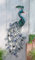 Dekoleidenschaft Wandhänger Pfau aus Metall im Antik Look, 38x92 cm, für Drinnen und Draussen, Balkondeko, Wanddeko, Wandbild, Relief