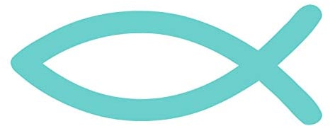 timalo® Christlicher Fischaufkleber fürs Auto 9x3cm Ichthys Autoaufkleber Fische (mint)