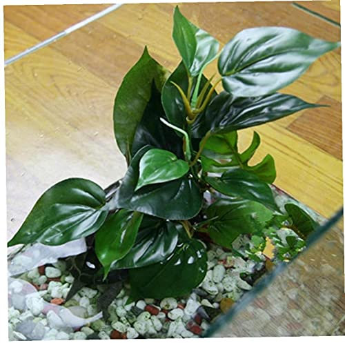 TOSSPER Plantes D'aquarium Artificiel, Plantes Aquatiques Aquarium Décorations Plantes Ornements Plantes sous-Marines Décorations