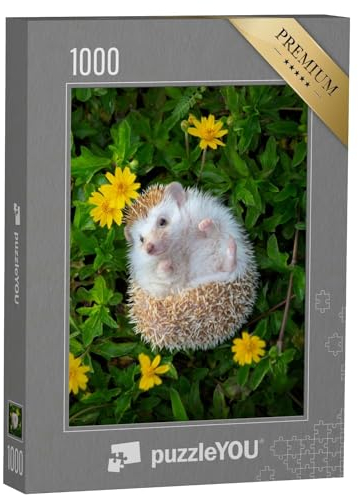 puzzleYOU: Puzzle 1000 Teile „EIN Kleiner Igel im Blumengarten“ – aus der Puzzle-Kollektion Igel, Tiere in Wald & Gebirge