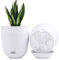 QCQHDU Lot de 3 Pots de Fleurs à arrosage Automatique de 25,4 cm avec Soucoupe Profonde pour intérieur et extérieur - Blanc…