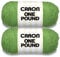 Caron One Pound Grass Green Yarn - 2 Pack of 454g/16oz - Acrylic - 4 Medium (Worsted) - 812 Yards - Knitting/Crochet