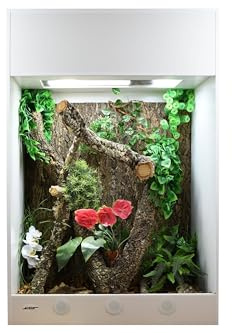 Lucky Reptile IsoTarrium Pro, Terrarienmaße (B/T/H):80 x 50 x 120 cm