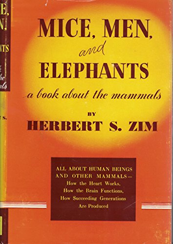 Mice- Men and Elephants
